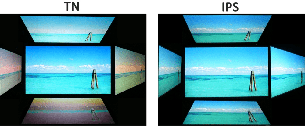 Углы обзора монитора с TN и IPS матрицей