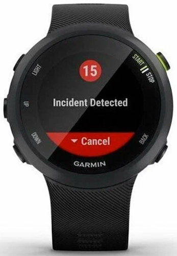 Garmin Forerunner 45