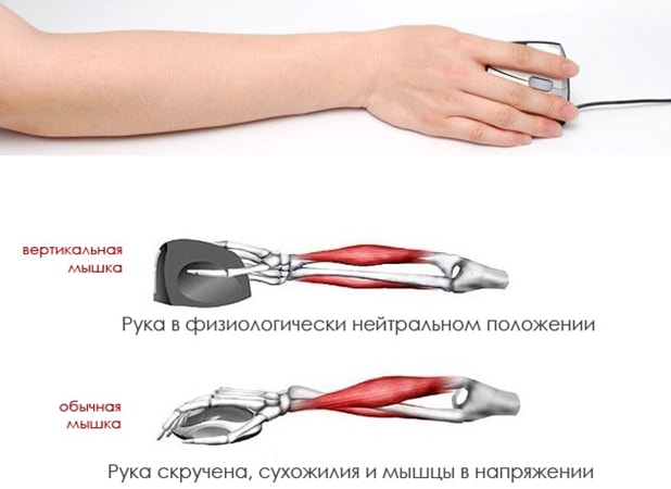 Лучшие компьютерные мыши для работы, дизайнера и офиса - Рейтинг ТОП-10