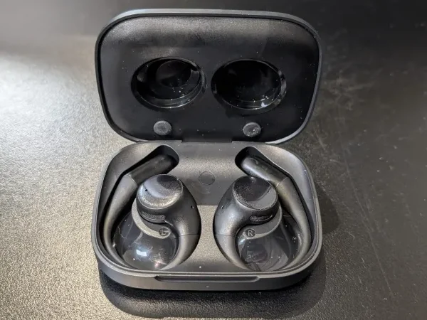 Honor Earbuds Open